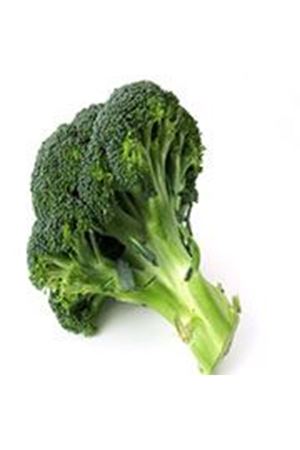 Monopoly F1  80 - 85 Günlük Brokoli