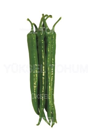 Yükselince F1 İnce Sivri Biber Tohumu