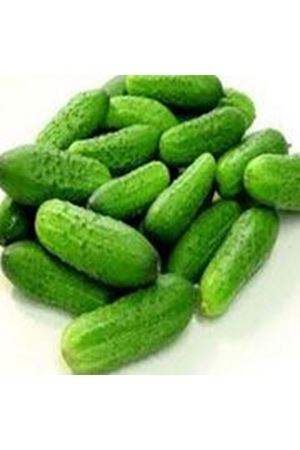 Octopus Turşuluk Hıyar