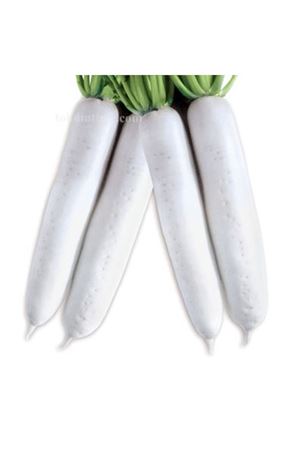 Es 9006 Japon Tipi Turp Tohumu