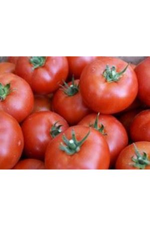 Eftelya F1 Beef Domates