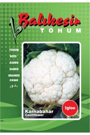 İgloo Karnabahar Tohumu
