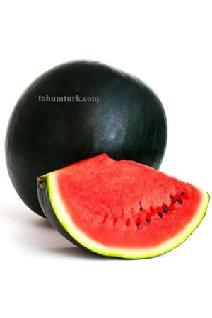 Paskal F1 Siyah Karpuz Tohumu