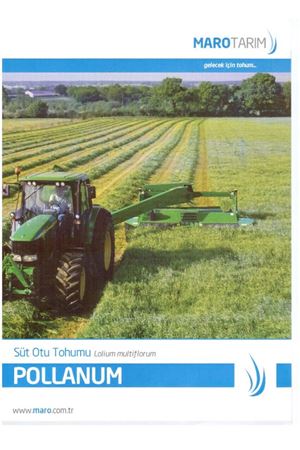 Pollanum  Süt Otu Tohumu