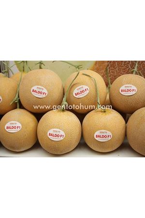 Baldo F1  Kavun Tohumu