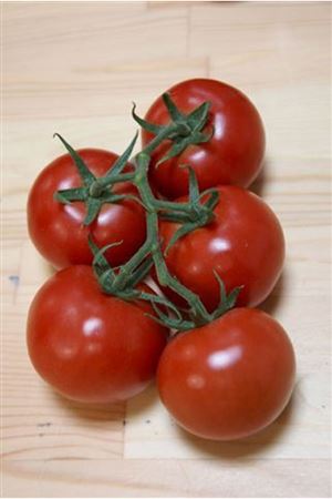 Dirk F1 Domates Tohumu