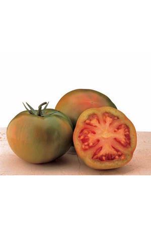 Carson F1 Domates Tohumu