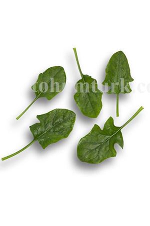 Python Rz F1 Ispanak Tohumu