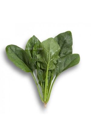 Tiger Rz F1 ( 51 - 125 ) Ispanak Tohumu