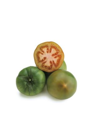 Lacey F1 Domates Tohumu