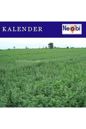 Kalender Yonca Tohumu