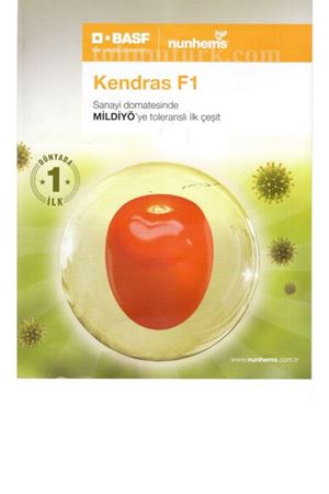 Kendras F1 Domates Tohumu