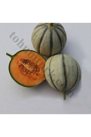 Minibal F1 Kavun Tohumu