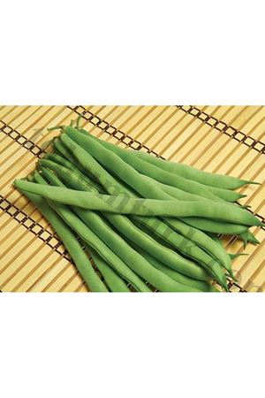 Magnum Fasülye Tohumu Ambalaj : 1 Kg , 2 Kg