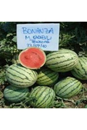 Bonanza F1 Karpuz Tohumu