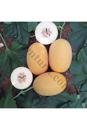 Lokum F1 Kavun Tohumu