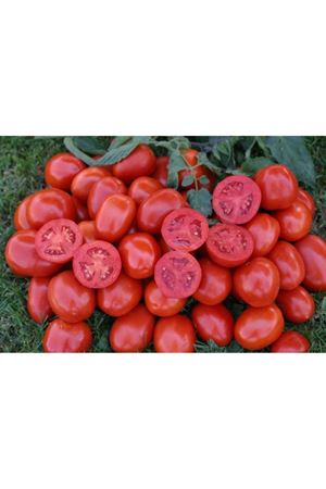 Heinz 1015 Domates Tohumu