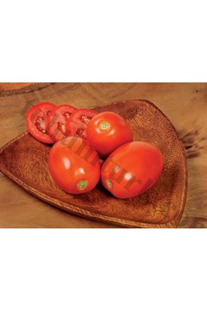 Angel F1 Domates Tohumu
