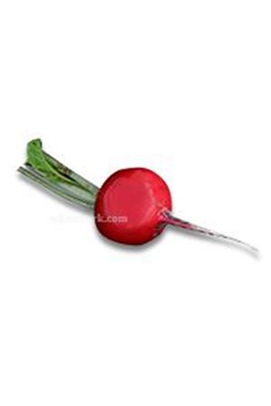 Mentor F1 Fındık Turp Tohumu