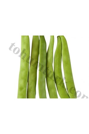 Asya Fasülye Tohumu