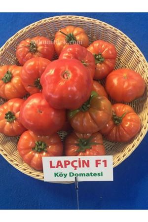 Lapçin F1 Yarı Sırık Köy Domatesi Tohumu