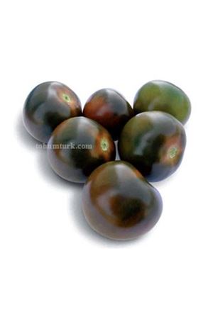 Sardo F1 Domates Tohumu