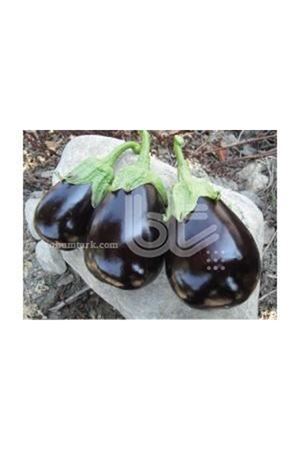 Bt Malkara F1 Patlıcan Tohumu