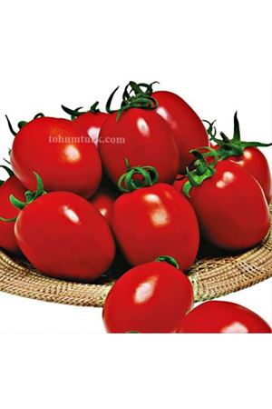 Salsa F1 Salçalık Domates Tohumu