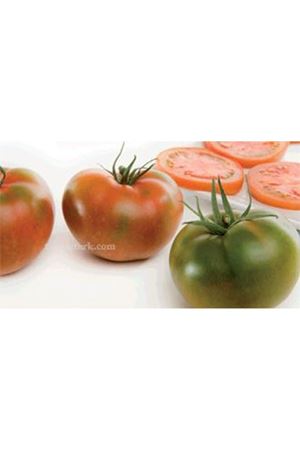 Saborissimo F1 Domates Tohumu