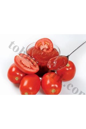 M1103 F1 Domates Tohumu