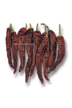 Benac F1 Biber Tohumu