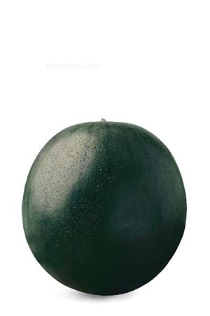 Toro F1 Siyah Karpuz