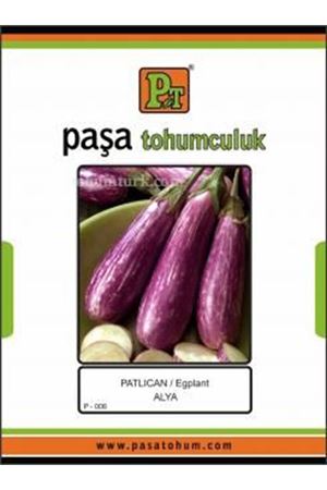 Alya Patlıcan Tohumu 