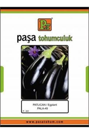 Patlıcan Pala 49  Tohumu 