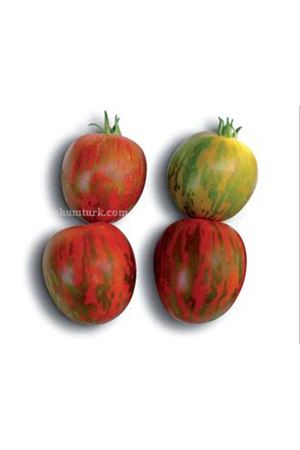 Lynx F1 Domates Tohumu