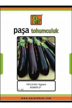 Patlıcan Kemer 27  