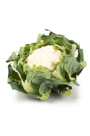 Casper Rz F1 Karnıbahar Tohumu 90 - 110 Günlük