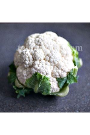 Nevarra F1 Karnabahar Tohumu