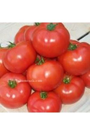 Porsuk F1 Domates Tohumu