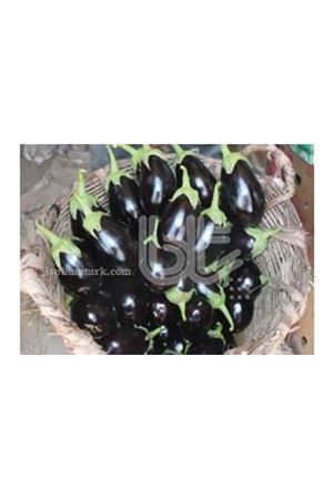 Bt Karabaş F1 Patlıcan Tohumu