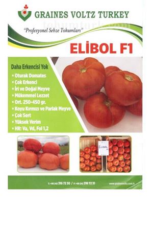 Elibol F1 Oturak Domates Tohumu