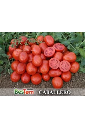 Caballero F1 Domates Tohumu