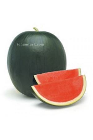 Fenway F1 Hibrit Karpuz Tohumu