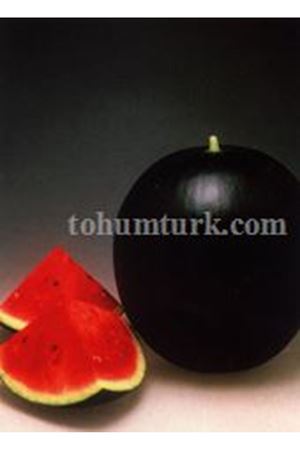 Pata Negra F1 Sugar Baby Tipi Siyah Karpuz