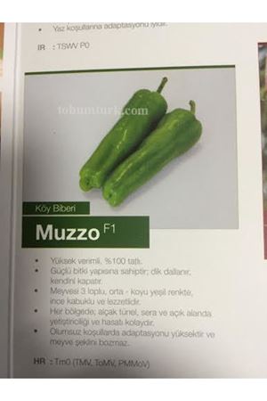 Muzzo F1 Köy Biberi Tohumu