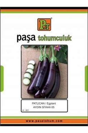 Patlıcan Aydın Siyahı - 55 