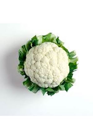 Kardelen F1 Karnabahar Tohumu