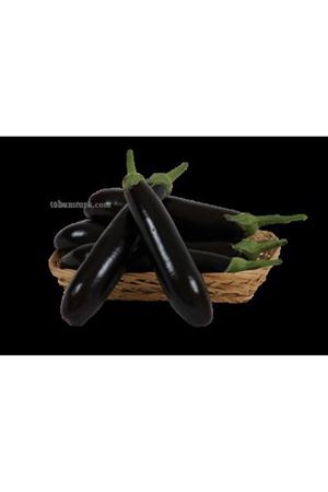 Karagöl F1 Patlıcan  Tohumu