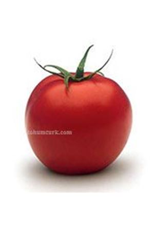Rft 4413 F1 Oturak Domates