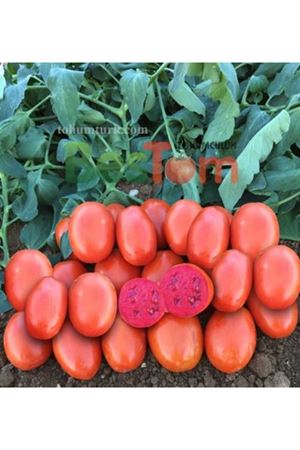 Heinz 1311 Vhl Domates Tohumu